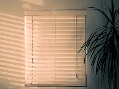 The Modern Interior Toolkit: Combining the Simplicity of Roller Blinds with Waterproof Durability for High-Style Utility Areas